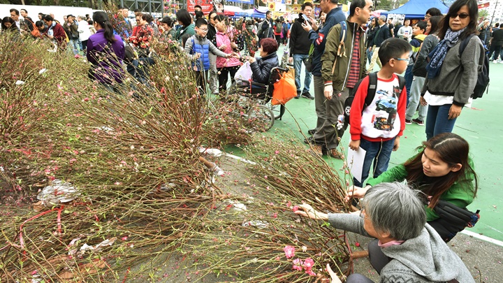 環保署今年再推出桃花回收計畫。資料圖片