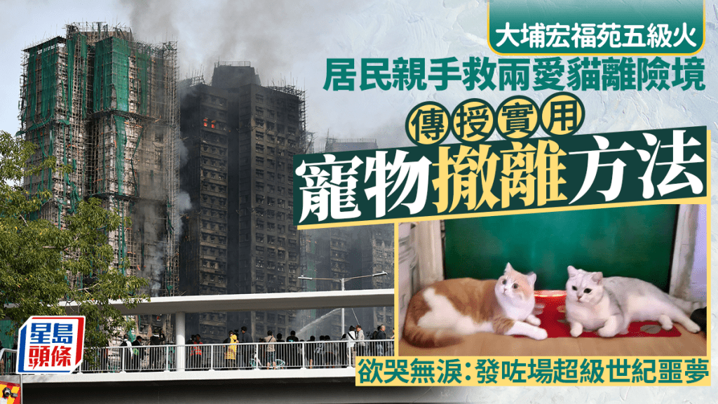大埔宏福苑五級火︱女子救兩貓離險境 傳授實用寵物撤離方法 欲哭無淚：發咗場超級世紀噩夢。小圖Threads截圖（資料來源：sscentgarden＠Threads）