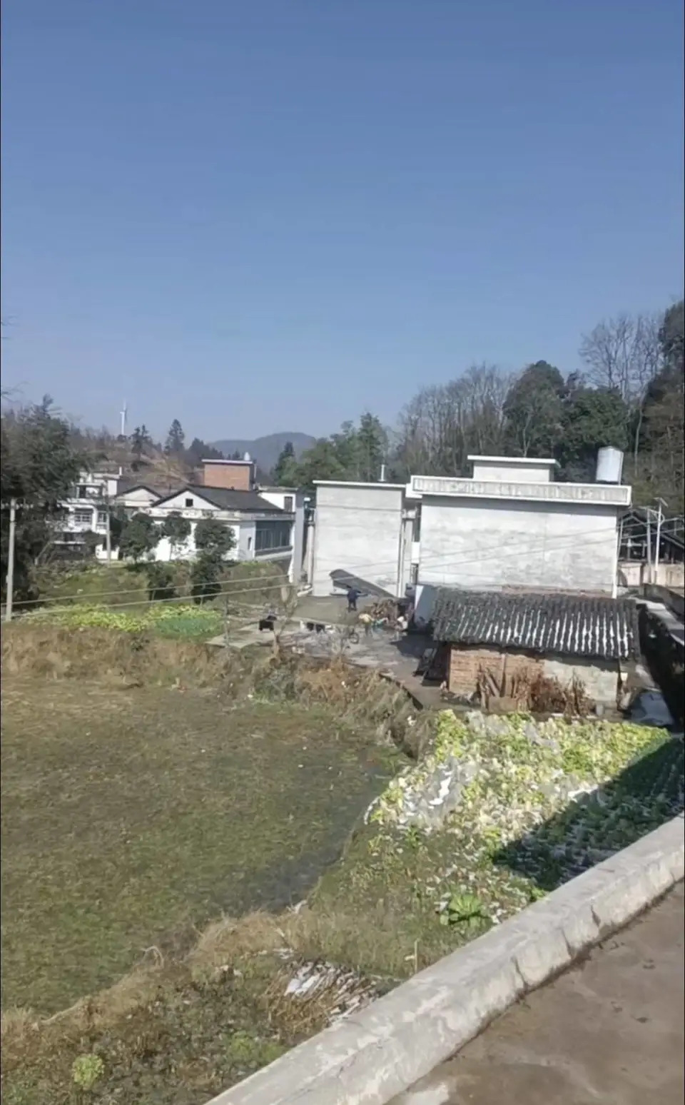 徐女士到梁某的貴州老家。揚子晚報 徐女士到梁某的貴州老家。揚子晚報