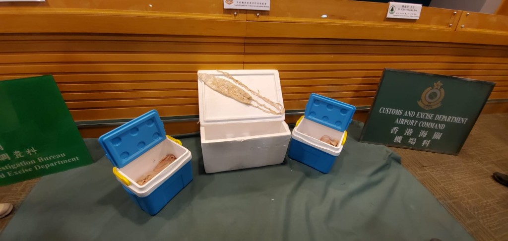 海關指檢獲的懷疑受管制石首魚魚肚,估計市值約2500萬元,數量及價值是同類案件中歷年最多。