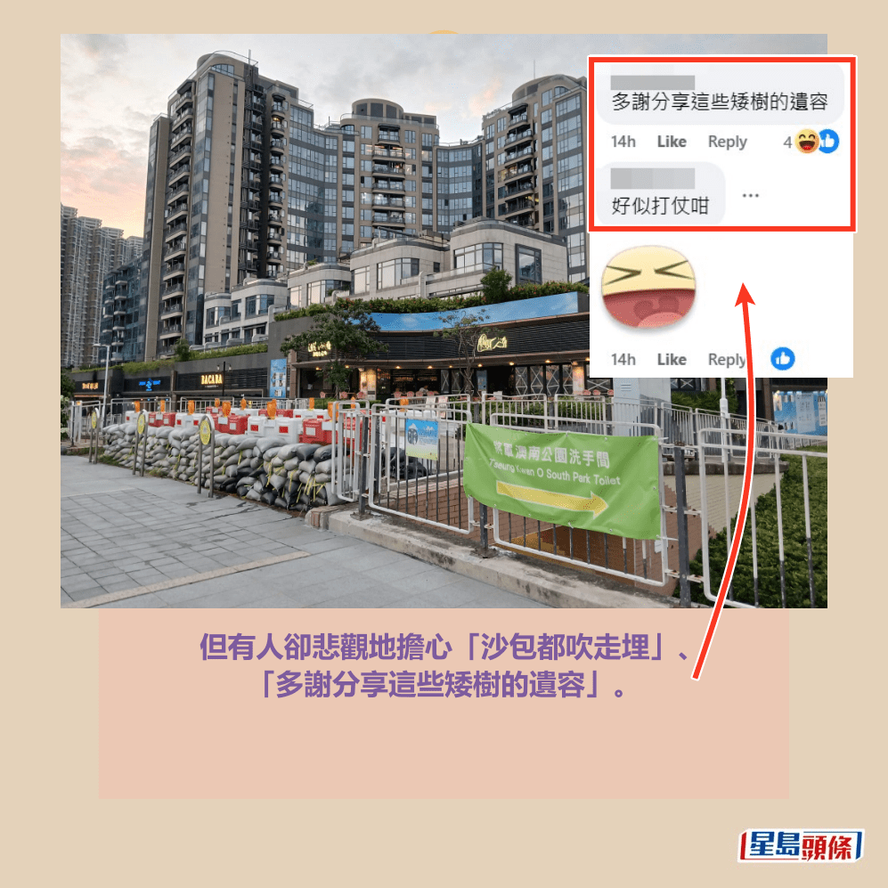 但有人卻悲觀地擔心「沙包都吹走埋」、 「多謝分享這些矮樹的遺容」。fb「將軍澳主場」截圖