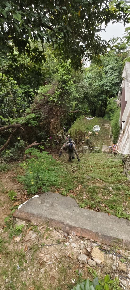 警员搜查山野中，贼人可能匿藏的地点。