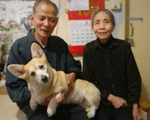 房署暫緩處理劉伯遷出狗個案。facebook香港動物報圖片