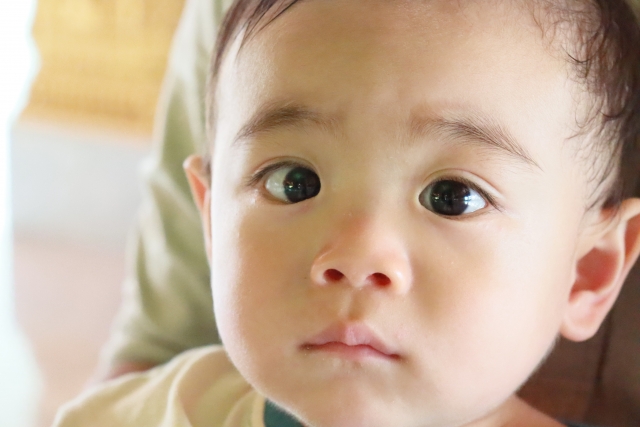 （图片来源：PhotoAC）