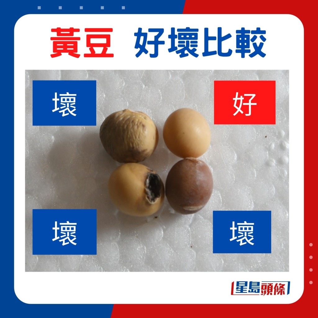 揀黃豆及黑豆,選顆粒完整堅硬富光澤