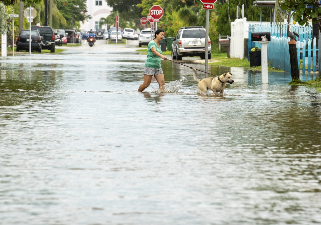 在佛羅里達州基韋斯特，伊恩颶風吹襲期間，有人帶著狗走過洪水。AP
