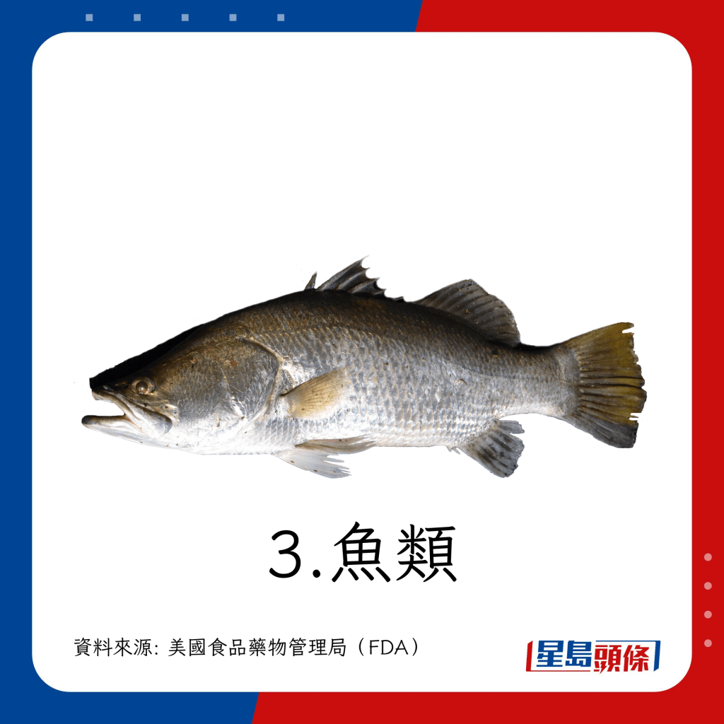 食物敏感｜9大致敏食物名單 魚類