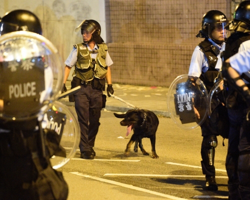 獸醫協會關注前線警犬受催淚煙影響健康。 資料圖片