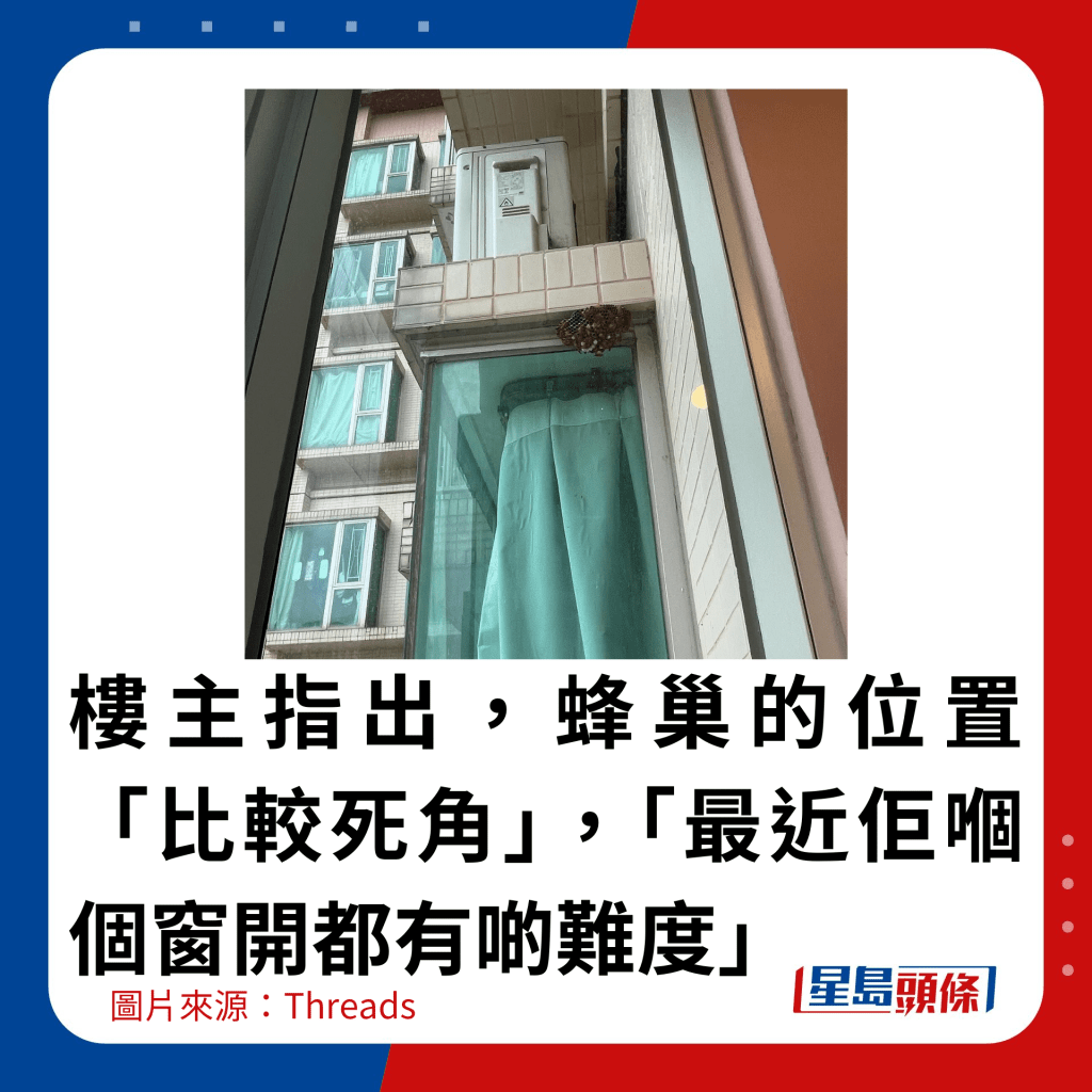 楼主指出，蜂巢的位置「比较死角」，「最近佢嗰个窗开都有啲难度」