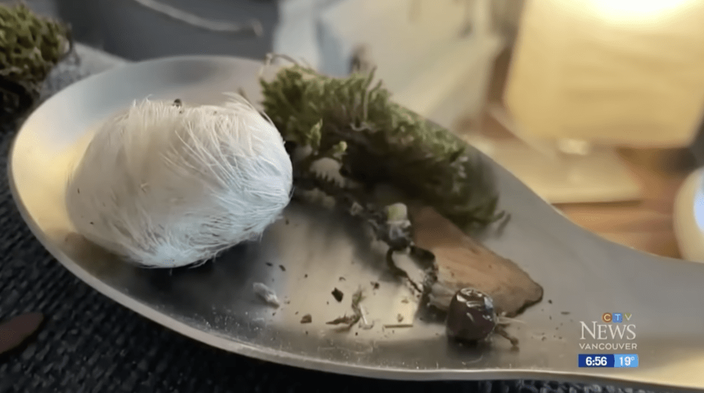 乌鸦送给莉亚的礼物包括大树枝、精致的苔藓球到小鸟巢都有，令人大开眼界。
