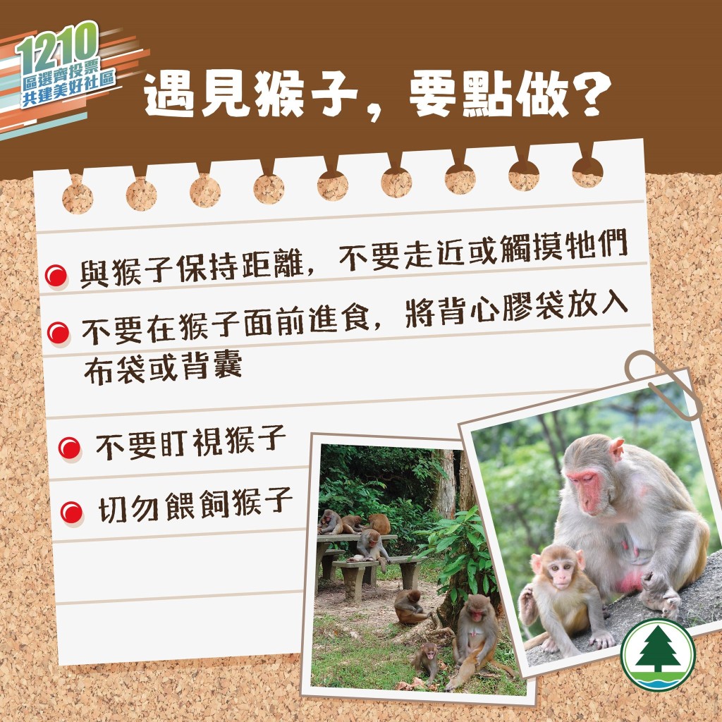 遇見猴子,要點做?「漁護署」fb截圖 遇見猴子,要點做?「漁護署」fb截圖