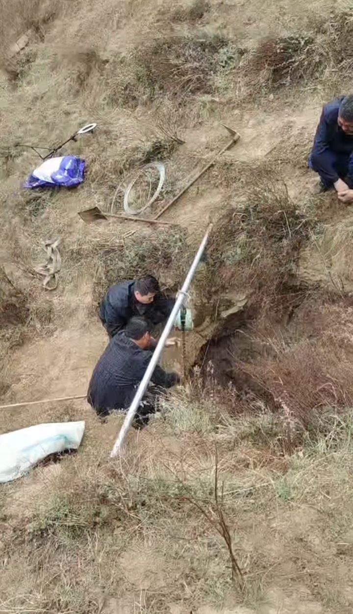 黄牛跌落深坑4日仍未能救出，最终死在洞内。抖音