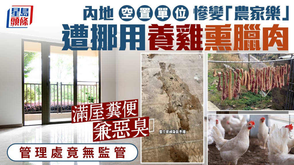內地空置單位慘變「農家樂」 遭挪用養雞熏臘肉 滿屋糞便兼惡臭 管理處竟無監管