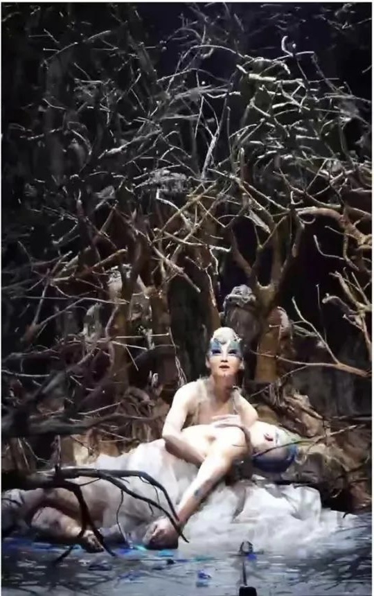 「雀之灵」视频账号发布的相关舞蹈片段截图。
