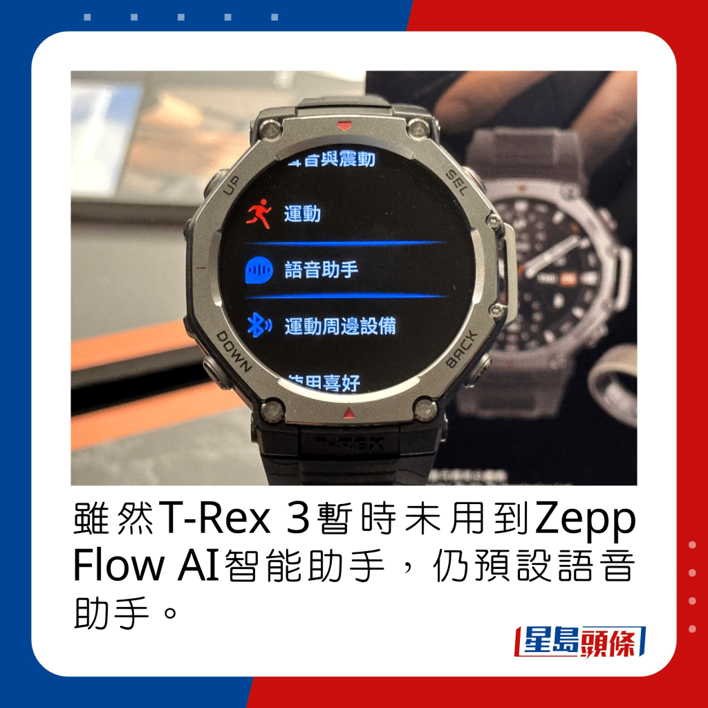 虽然T-Rex 3暂时未用到Zepp Flow AI智能助手，仍预设语音助手。