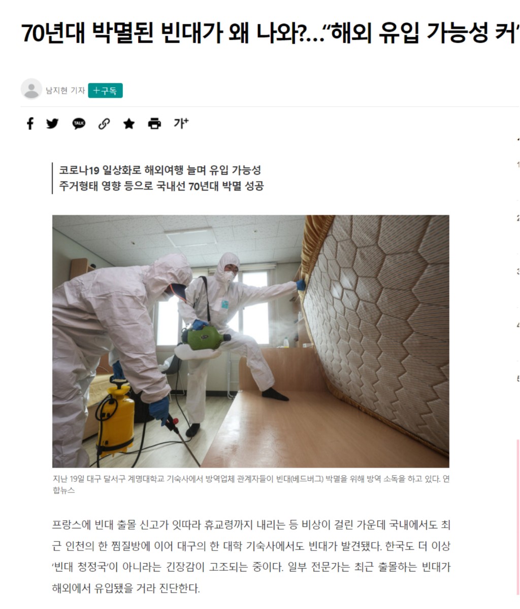 韓國不少新聞網近日報道當地蝨患嚴重。