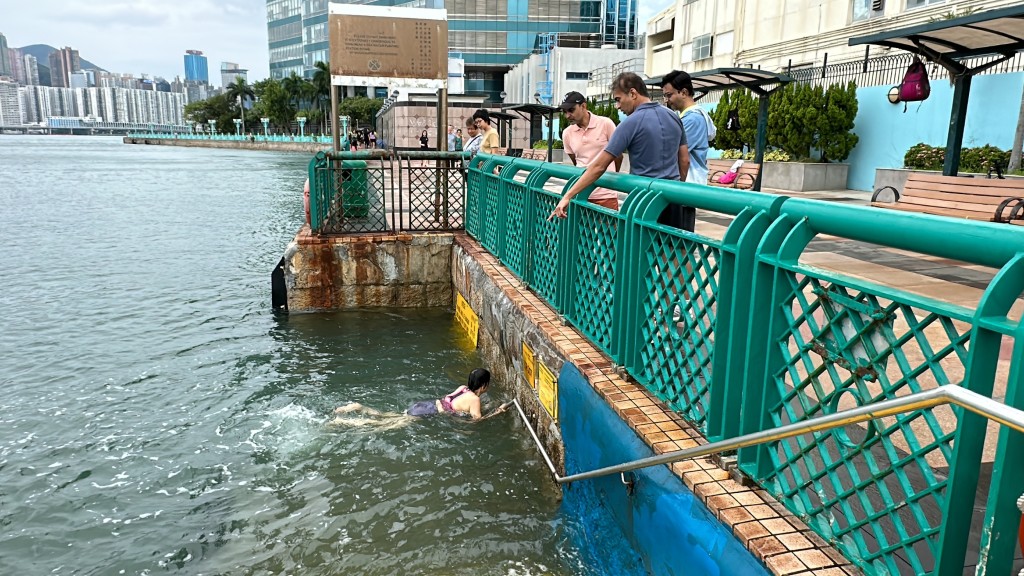 红磡码头有不少泳客游水。刘汉权摄