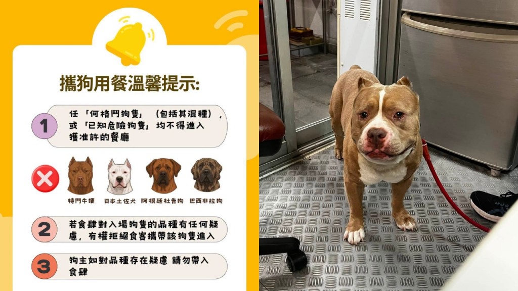 赤柱食肆老狗被指为格斗犬惹议 食环署吁众狗主：如对品种存在疑虑 请勿带入食肆