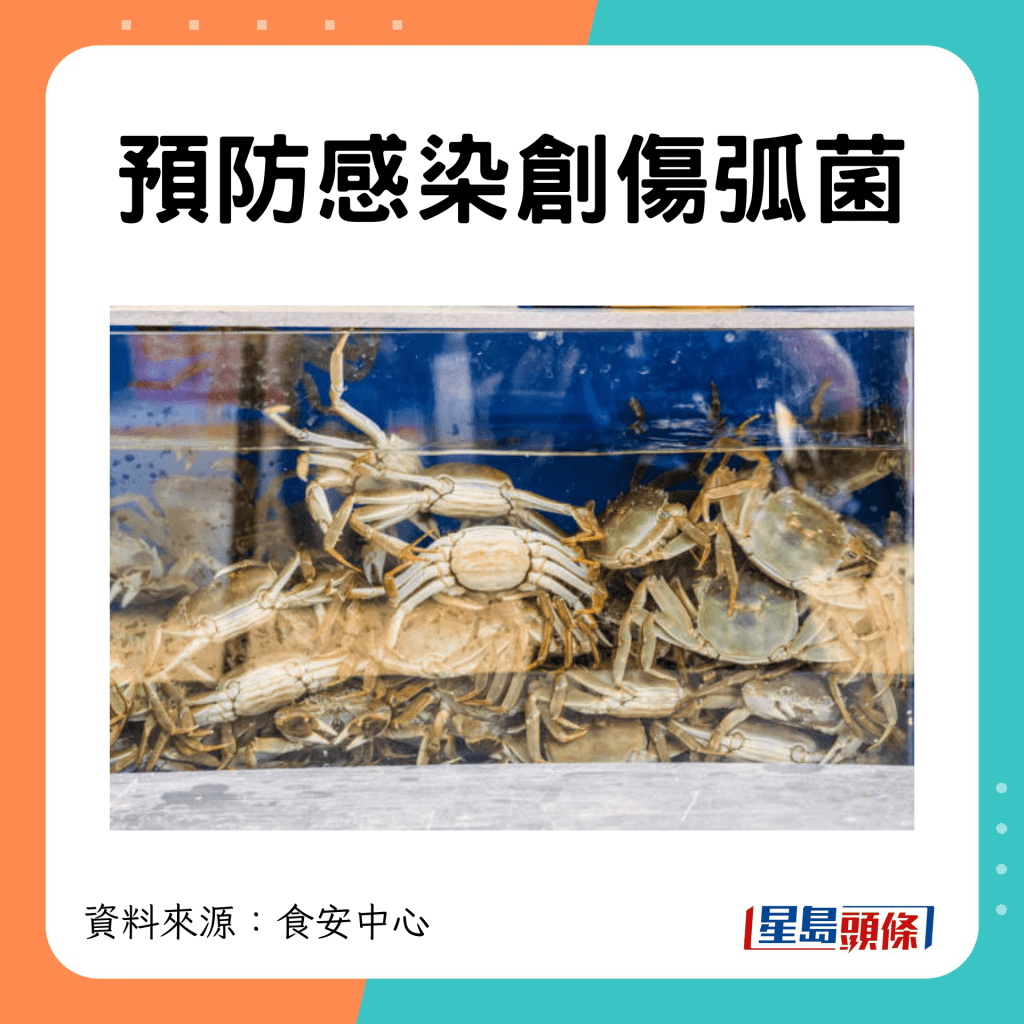 預防感染創傷弧菌