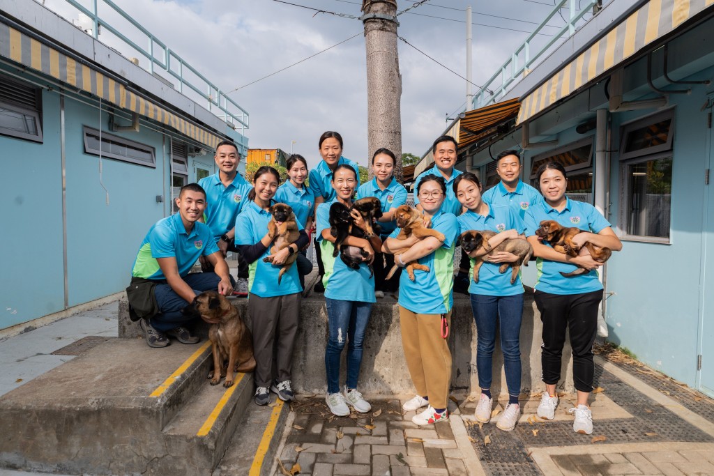 惩教署爱羣义工团辖下的警卫犬队分队，每月恒常前往香港拯救猫狗协会两次，协助训练幼犬。刘骏轩摄