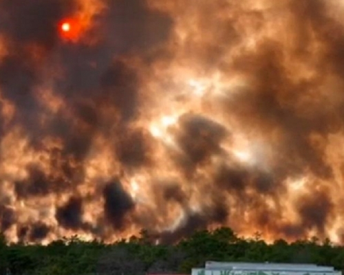 現場火勢猛烈。