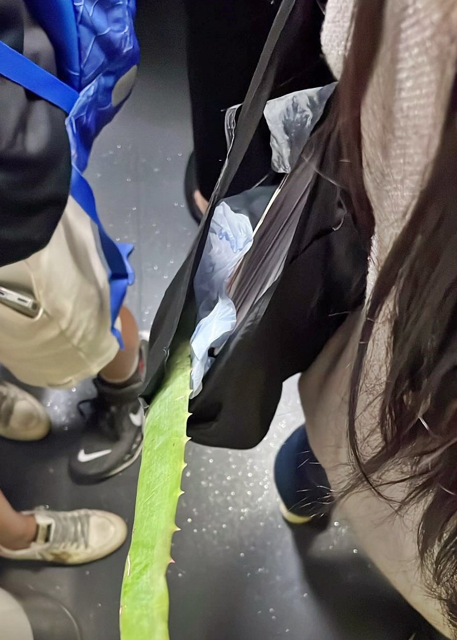 Threads截圖(資料來源:foxhaha_@Threads) Threads截圖(資料來源:foxhaha_@Threads)