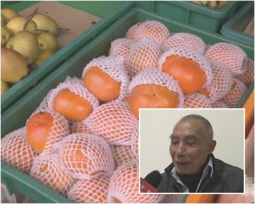 重慶銅梁70歲老翁童明煥近日連續幾天吃過量柿子後，感到肚痛、腹脹，醫生指其患上「柿石病」。網圖