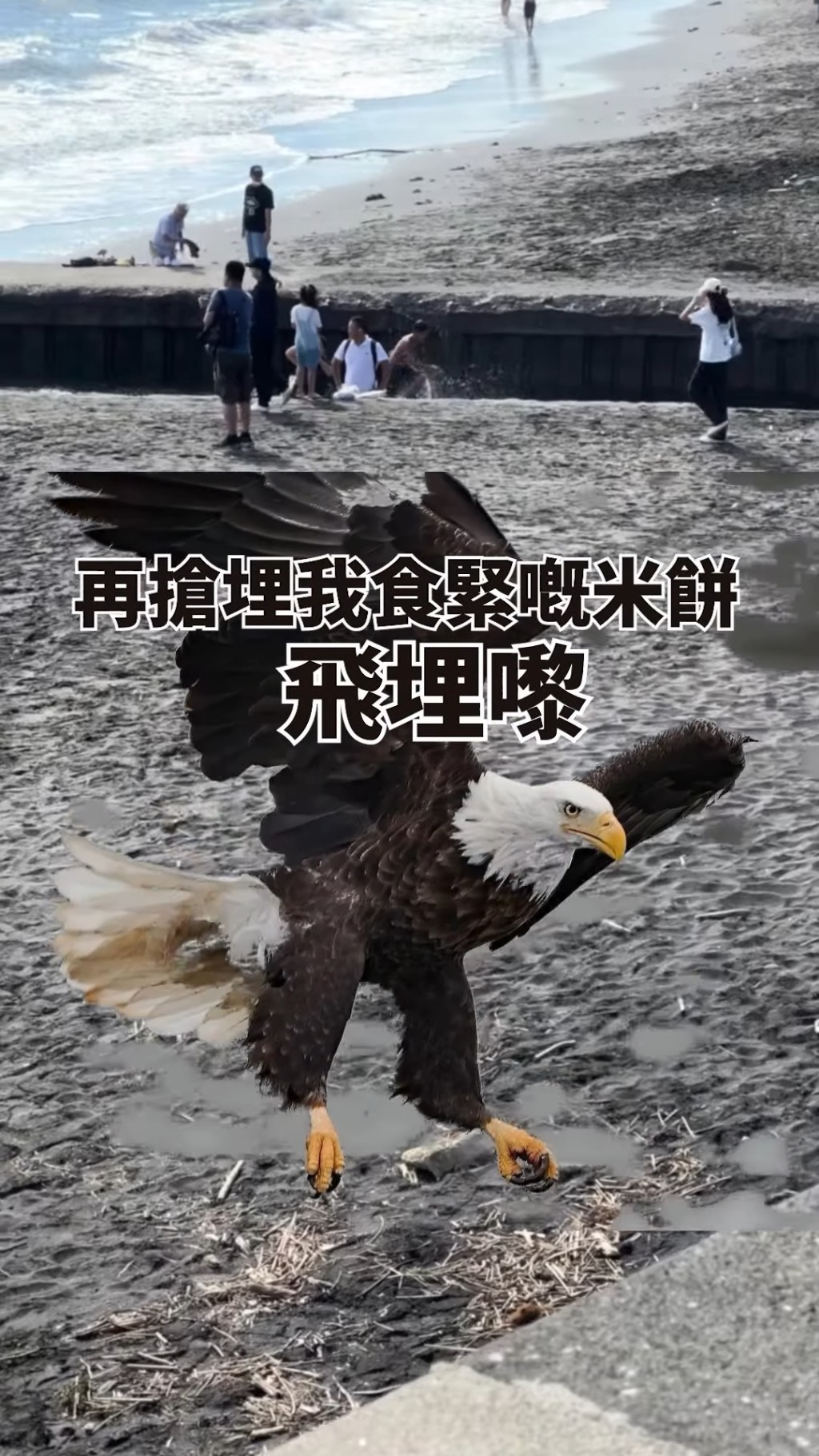 陳欣茵透露自己在鎌倉海邊遇襲,更差點就毁容,馬上引來大批網民留言表示擔心! 陳欣茵透露自己在鎌倉海邊遇襲,更差點就毁容,馬上引來大批網民留言表示擔心!