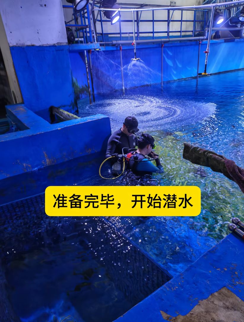 包先生參加水族館的潛水活動時被鯊魚咬至毀容。抖音