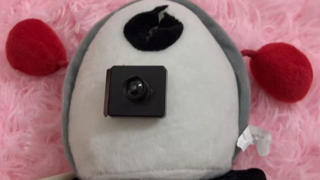 梁女士購買的毛絨玩具娃娃。洪觀新聞