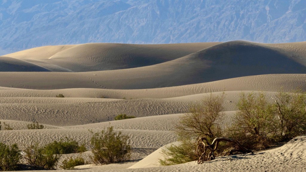 加州死亡谷梅斯基特平原沙丘（Mesquite Flat Sand Dunes）。 美联社