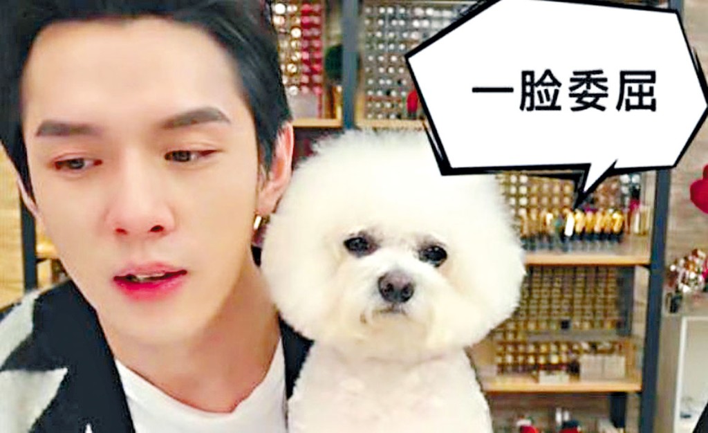 ■直播帶貨網紅李佳琦和他的「Ｎ姓女明星」狗狗Never。
