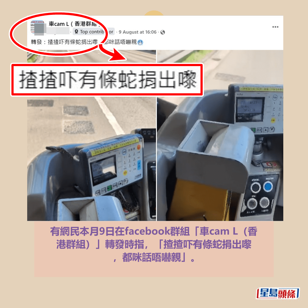 有網民本月9日在facebook群組「車cam L（香 港群組）」轉發時指，「揸揸吓有條蛇捐出嚟 ，都咪話唔嚇親」。Threads截圖