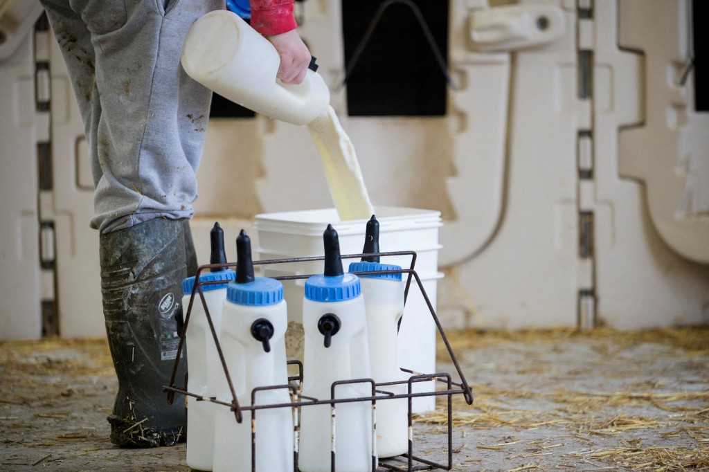 市面有售的美國牛奶驗出病毒顆粒。路透社