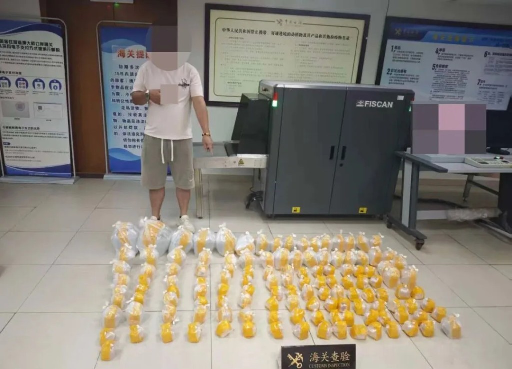 男子將觀賞魚放入膠袋內。海關發布 男子將觀賞魚放入膠袋內。海關發布