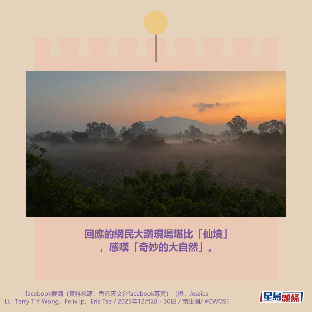 （摄：Eric Tse / 2025年12月28日 / 南生围 / #CWOS）