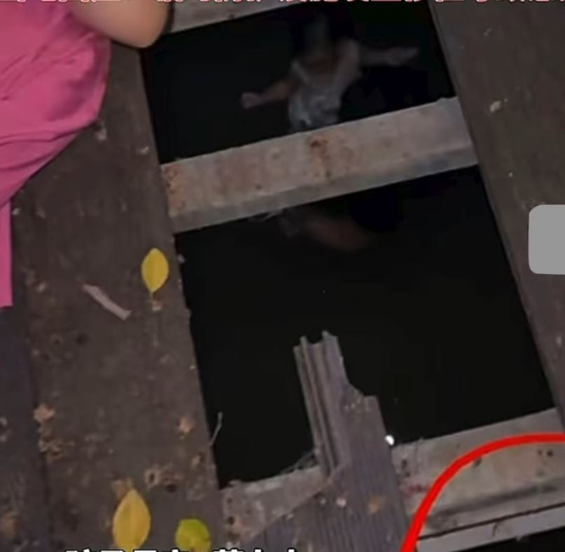 楊先生徒手扯爛失修棧道的木板，跳落江中救女兒。