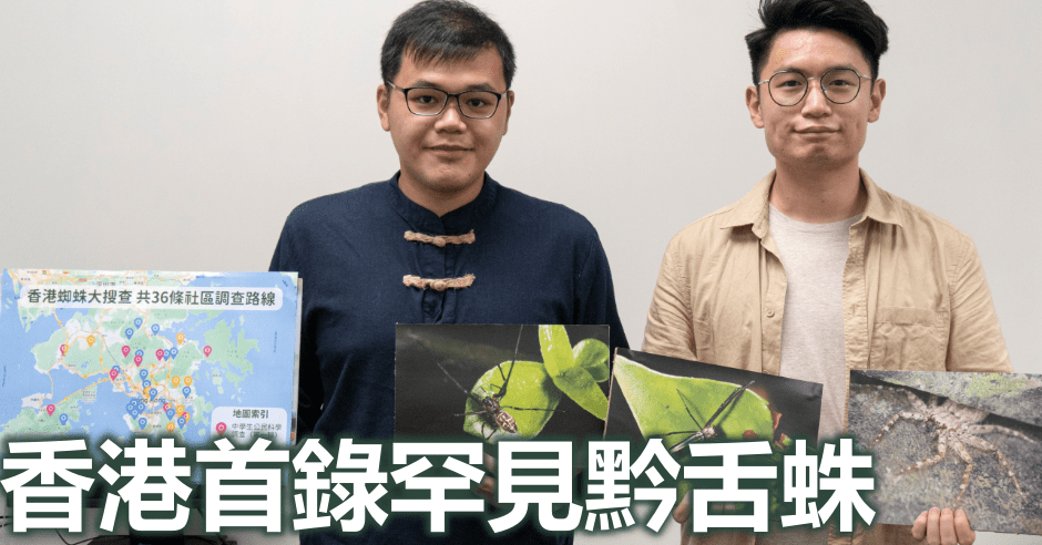 戶外生態教育協會於全港共36條路綫進行蜘蛛觀察。