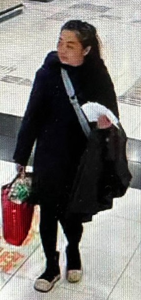 失蹤女子上月22日下午在落馬洲支線管制站最後露面。警方圖片