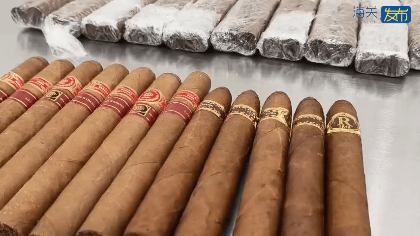 北上「水貨客」福田口岸被截查,褲檔藏48支雪茄。 北上「水貨客」福田口岸被截查,褲檔藏48支雪茄。