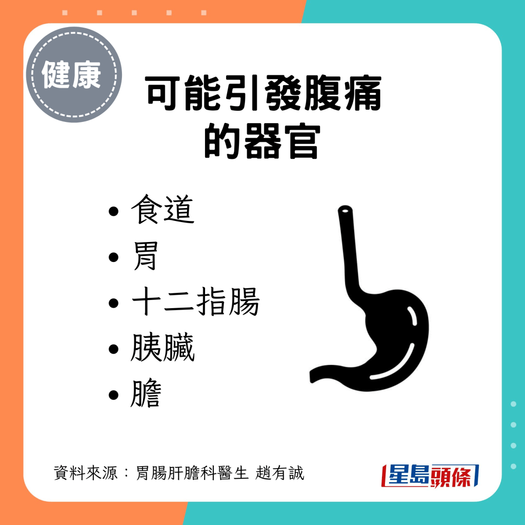 可能引發腹痛的器官：食道 胃 十二指腸 胰臟 膽