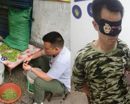 警員喬裝街坊在偷車賊人的住所外埋伏。網圖