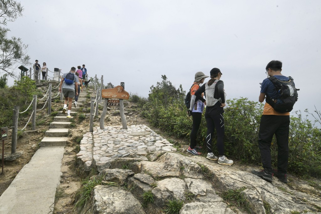 有旅行社表示，會舉辦20人旅行團，選擇較簡單的太平山路線。