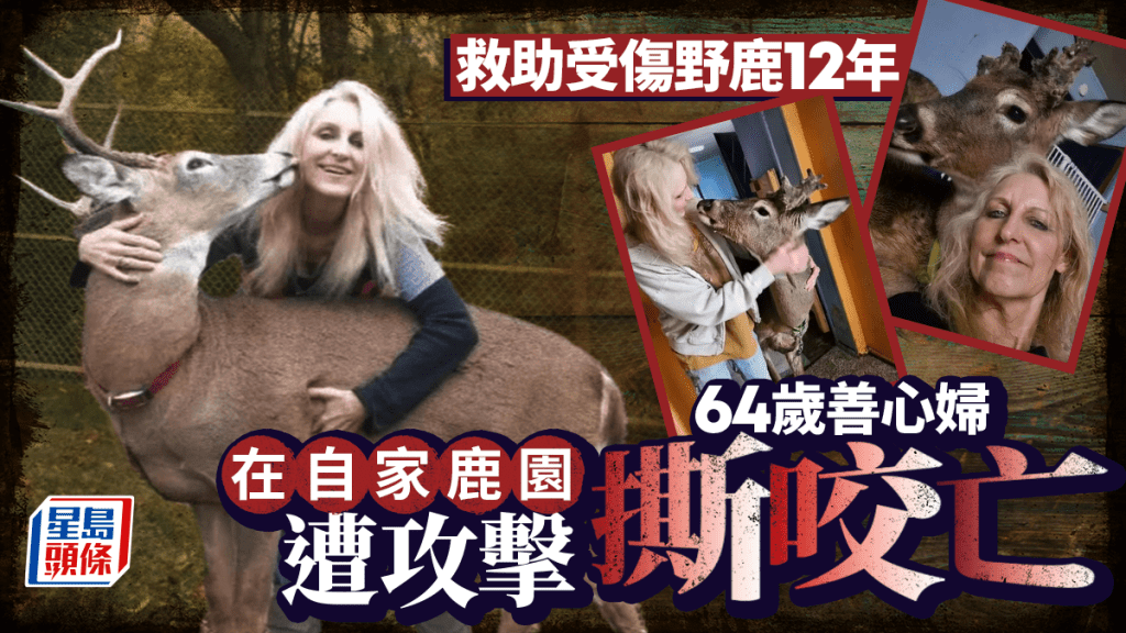 令人傷痛悲劇 | 救助野鹿12年 美64歲善心婦反被鹿所殺