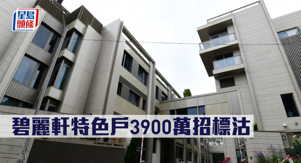 碧麗軒特色戶3900萬招標沽。