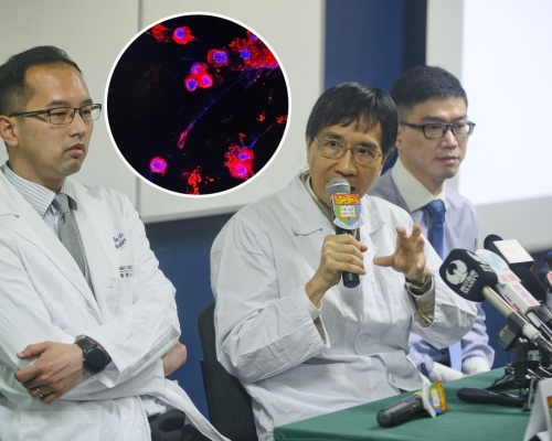 杜啟泓(左)冀2至3星期後得知Omicron對中和抗體影響。 資料圖片