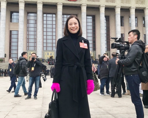 陳曼琪指，《港版國安法》是香港的守護法和定海神針。資料圖片