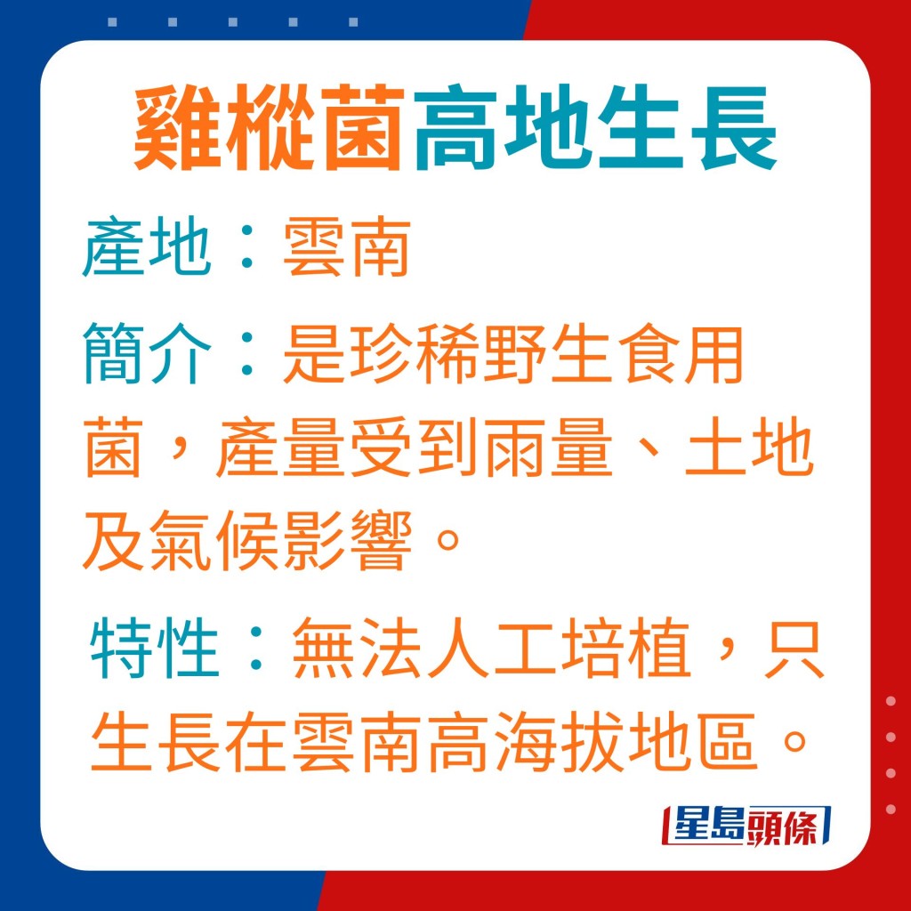 鸡枞菌是珍稀野生食用菌，产量受到雨量、土地及气候影响。