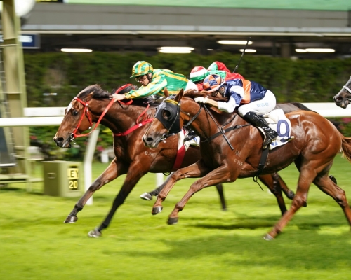 今晚「明德之星」由騎師巴度策騎,取得季內第三場頭馬,亦成為今季首匹在谷草賽事三捷馬。 Curry攝