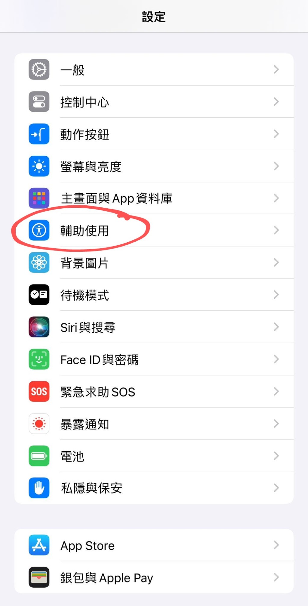 步驟 1：在設定中開啟「輔助使用」；